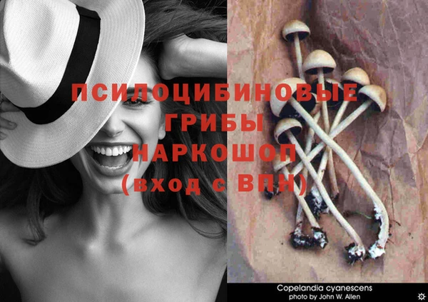 MDMA Абинск