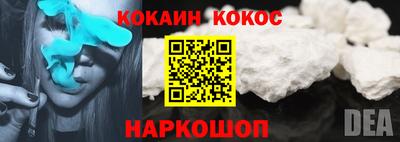 a pvp Братск