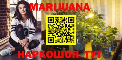 мдпв Боровичи
