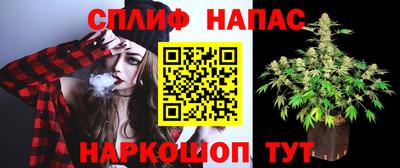 a pvp Братск