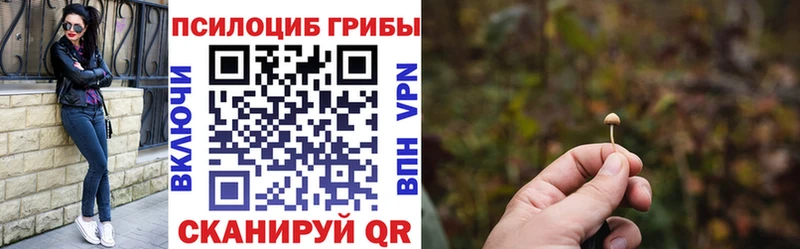 Галлюциногенные грибы ЛСД Братск