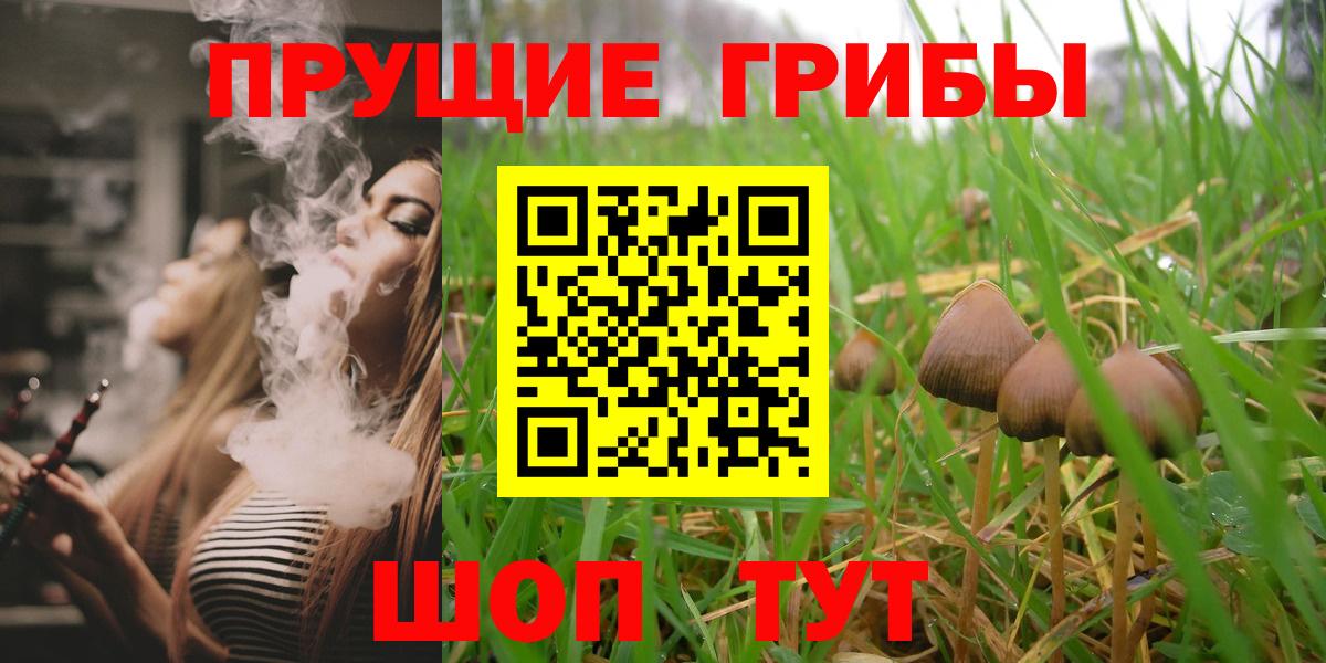 что такое наркотик  Вход с VPN  Братск  Псилоцибиновые грибы прущие грибы 