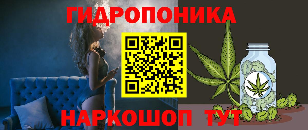 Марихуана OG Kush  Шишки марихуана THC 21%  Вход с VPN  Братск  Каннабис план 